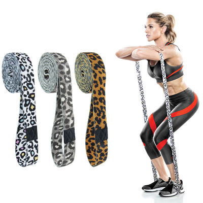 Leopard Print Workout Exercise Booty 208cm Bands Resistance Bands Set for Pilates Sport Crossfit Fitness Training